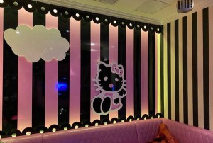 上海浦东新区金桥镇附近ktv招聘酒水促销员,(不压工资待遇好的)