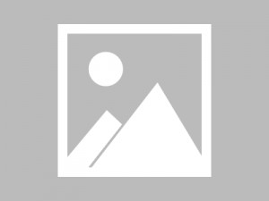 上海松江区九亭镇附近ktv招聘酒水促销员,接受新人的