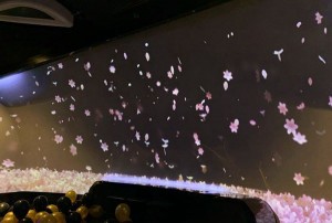 杭州哪里有酒吧招聘包厢气氛组,招聘联系方式是什么