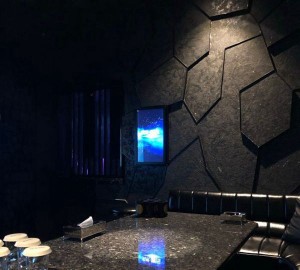 杭州什么地方有酒吧ktv招聘模特佳丽,(不抽台费)