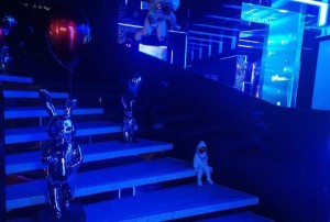 上海闵行区马桥镇附近夜场招聘现场DJ,(不抽台费)