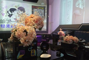 私人订制招聘文案（个性化招聘文案定制服务）