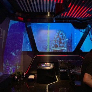 上海闵行区马桥镇附近夜场招聘酒水促销员,ktv领班队长微信多少