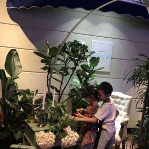 上海奉贤区青村镇附近酒吧招聘包厢陪唱,不限身高