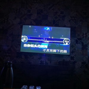 上海宝山区淞南镇附近酒吧招聘商务接待,(不用订房任务)