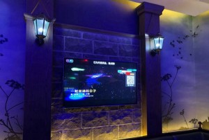 杭州上班轻松的夜场招聘模特佳丽,需要统一穿工装吗_