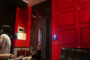 空乘员招聘文案（空乘人才招募启事）