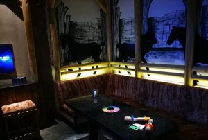 上海浦东新区高东镇附近酒吧招聘包厢气氛租,工作好做吗？