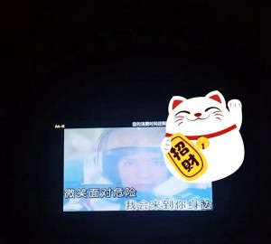 杨浦区银行保安招聘条件（杨浦区银行安保人员招募要求）