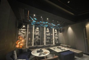 杭州富阳区湖源乡附近酒吧招聘商务礼仪,(不需要工作服)